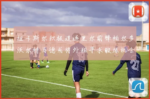 纽卡斯尔积极追逐里尔前锋帕尔多沃尔特马德或将外租寻求锻炼机会